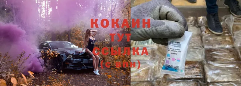 где купить   Горбатов  Cocaine 97% 